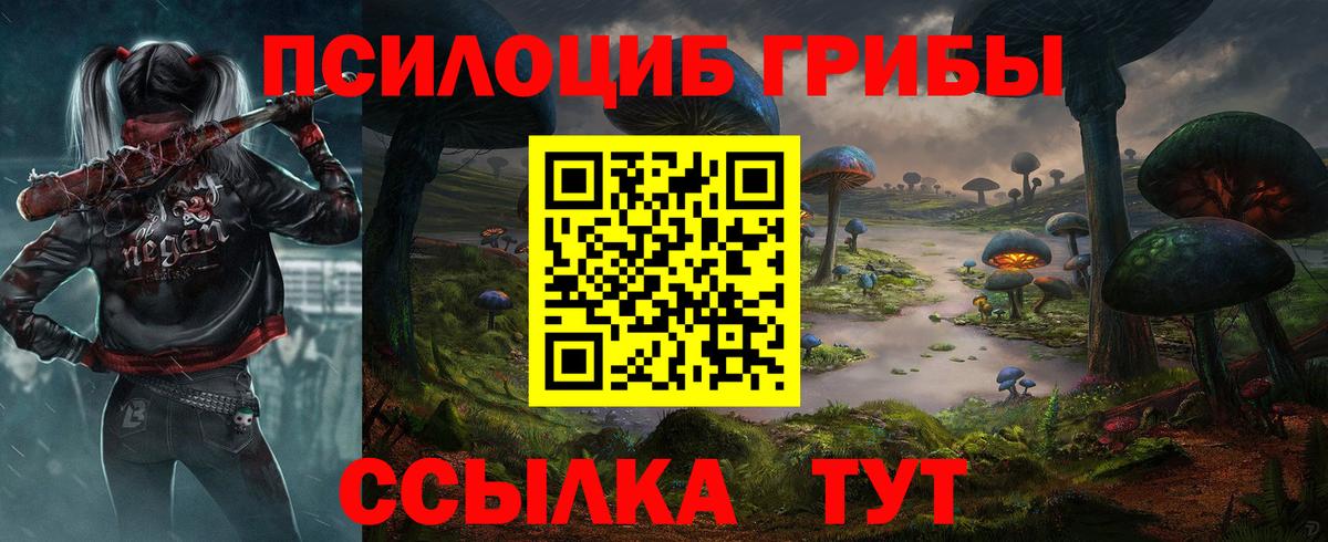 Псилоцибиновые грибы GOLDEN TEACHER Североуральск
